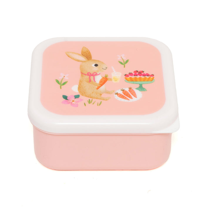 Lunchbox set animals picnic