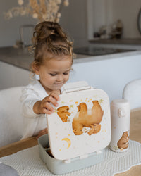 Bento lunch box bears and stars LB56Bd