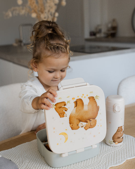 Bento lunch box bears and stars LB56Bd