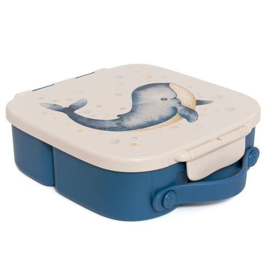 Bento lunch box whale LB57B