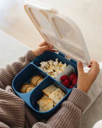 Bento lunch box whale LB57Bc