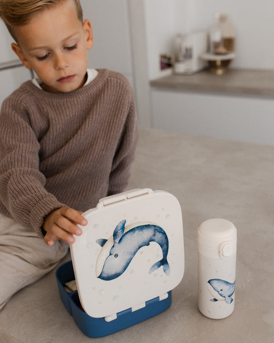 Bento lunch box whale LB57Bg
