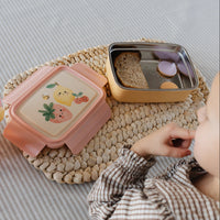 Lunchbox bento Feeling FruityLB59y