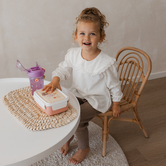 Lunchbox bento Sweet SunshineLB60b