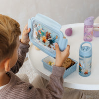 Lunchbox bento bonfire animalsLB52c