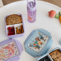 Lunchbox bento bonfire animalsLB52d