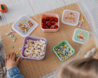 Lunchbox set animals picnicLB57b