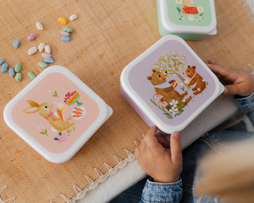 Lunchbox set animals picnicLB57d