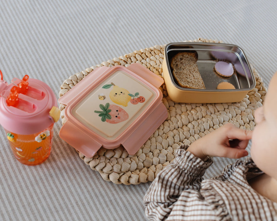 Lunch box bento Sparkling Fruits