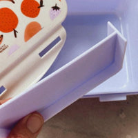 Lunchbox fruits + divider