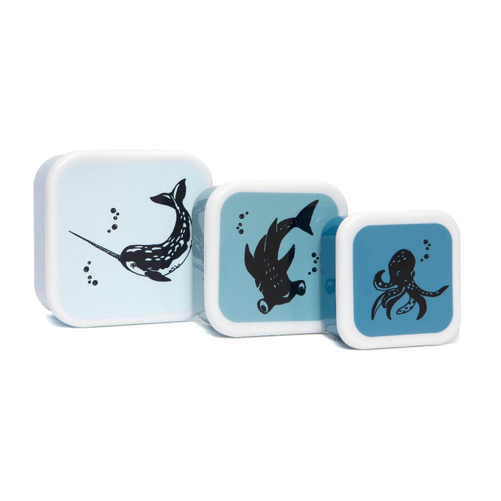 Lunch box set sea animals