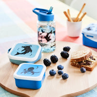 Lunch box set sea animals