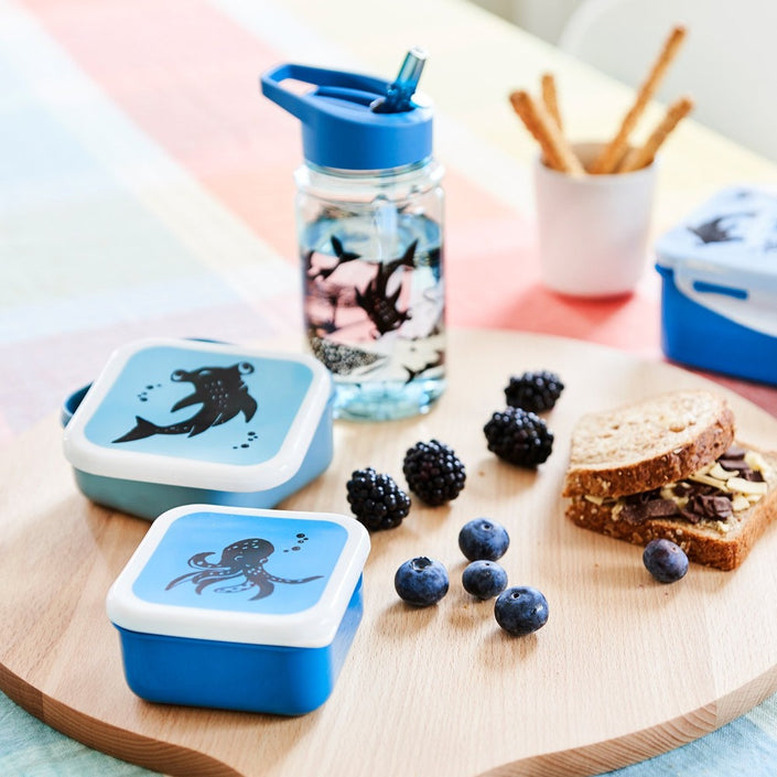 Lunch box set sea animals