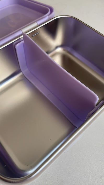 Stainless steel lunchbox apple of my eye