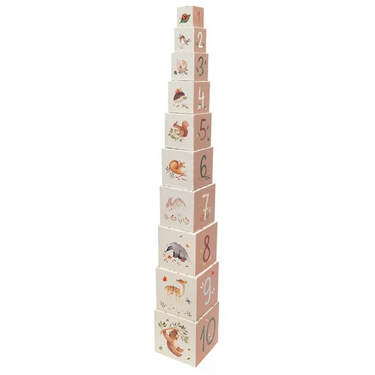10 Stacking blocks wild bear
