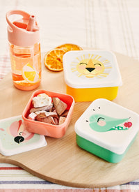 Drinking bottle flies