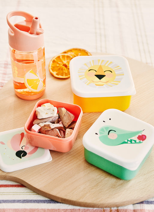 Drinking bottle flies