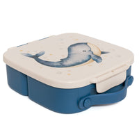 Bento lunch box whale