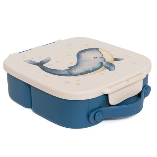 Bento lunch box whale