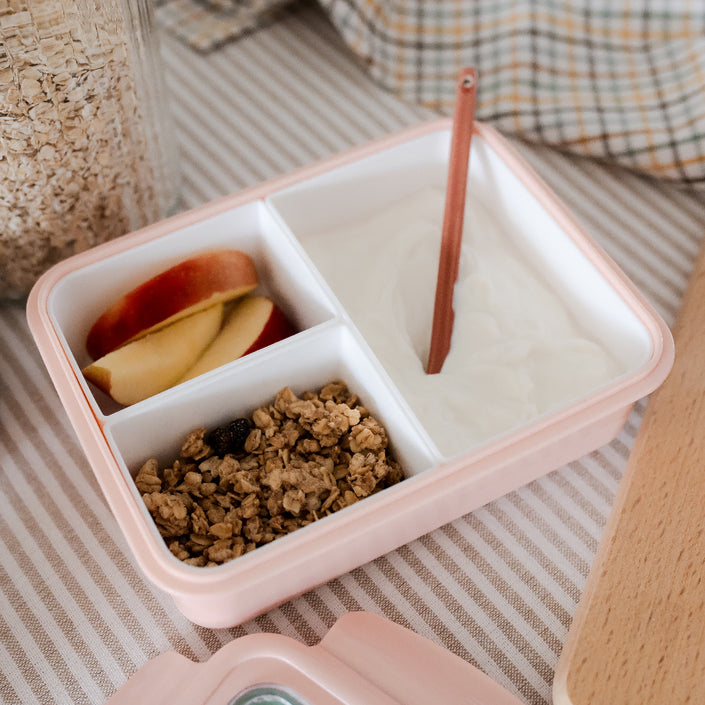 Lunchbox bento animals picnicLB53c