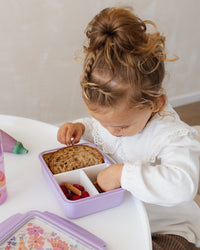 Lunchbox bento birds of a featherLB55d