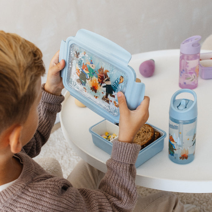 Lunchbox bento bonfire animalsLB52c