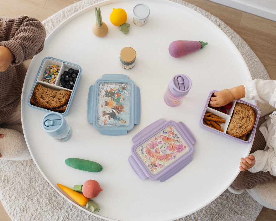 Lunchbox bento bonfire animalsLB52e