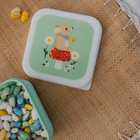 Lunchbox set animals picnicLB57l