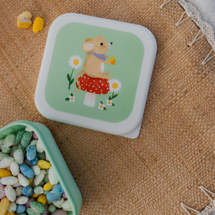 Lunchbox set animals picnicLB57l