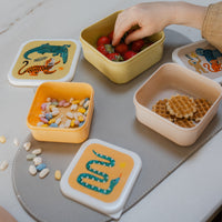 Lunchbox set upside down animalsLB56d