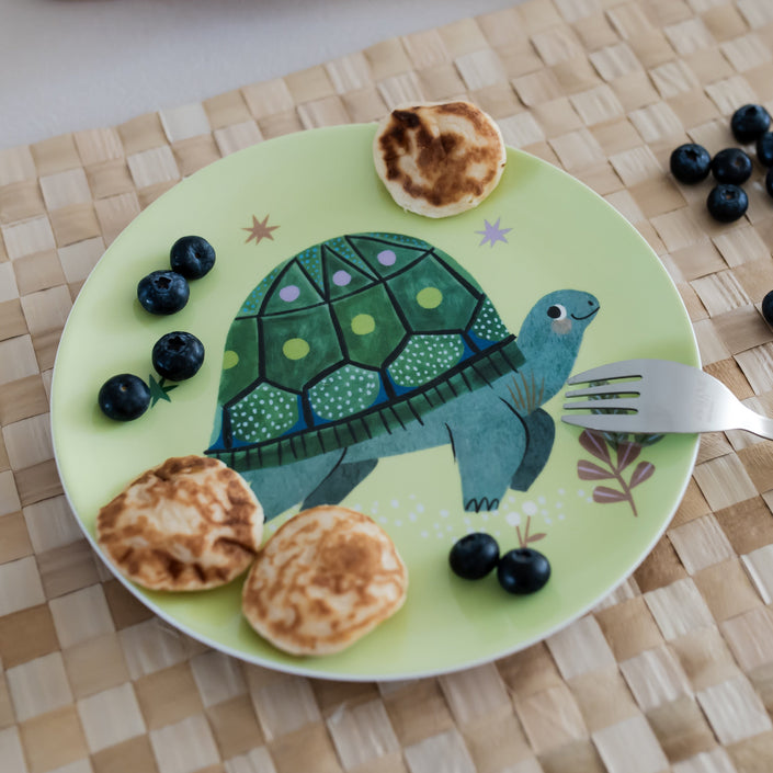 Melamine plate turtle MP45b