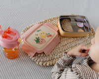 Lunch box bento Sparkling Fruits