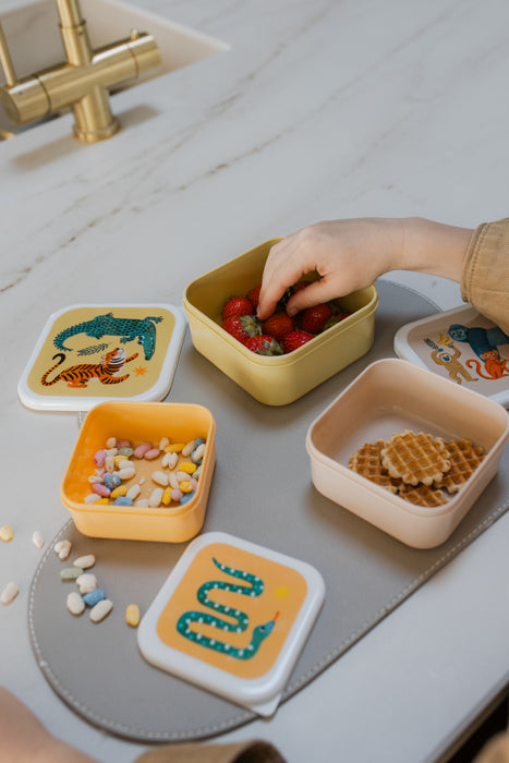 Snack and lunchboxes