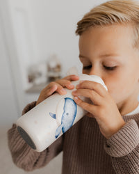 Stainless steel insulated drinking bottle whale VSB7b