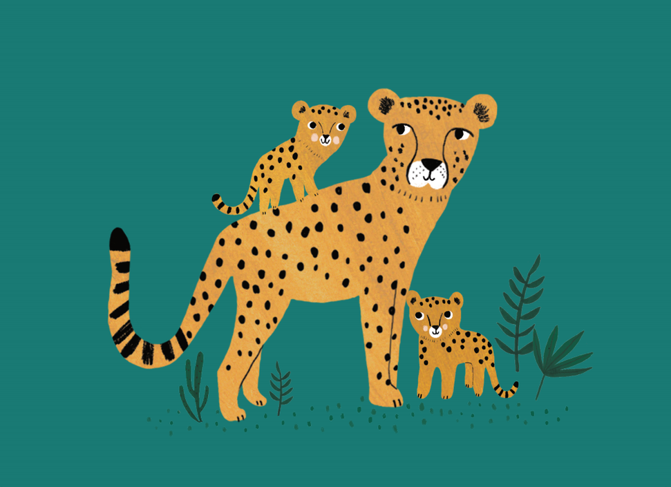 Postcard Cheetah and cubs
