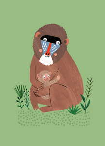 Postcard Mandril and cub