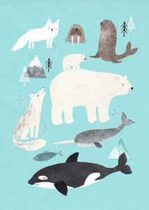 Postcard Artic animals